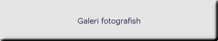 Galeri fotografish